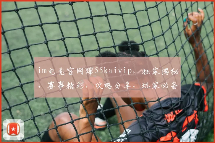 im电竞官网蹿55kaivip，独家揭秘，赛事精彩，攻略分享，玩家必备
